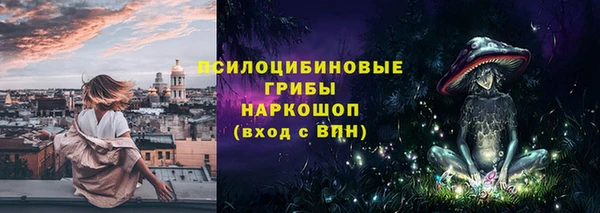 шишки Бронницы